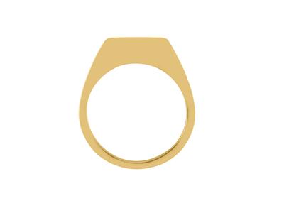 Anillo Cuerpo Cerrado, Oro Amarillo 18k. Ref. 01821