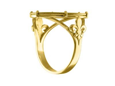 Anillo Portamonedas 10 Francos, Engastado Con 6 Garras, Personalizable, Oro Amarillo 18 Kt