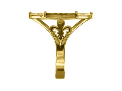 Anillo Portamonedas De 10 Francos, Engastado Con 6 Garras, Personalizable, Oro Amarillo De 18 Quilates - Imagen Estandar - 2