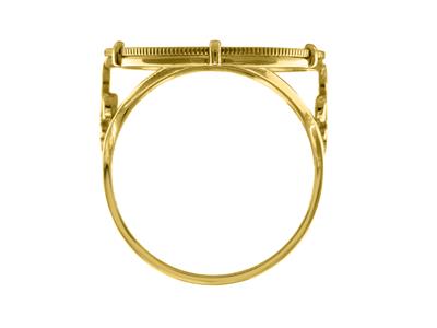 Anillo Portamonedas De 10 Francos, Engastado Con 6 Garras, Personalizable, Oro Amarillo De 18 Quilates - Imagen Estandar - 3