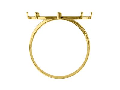 Anillo Portamonedas 10 Francos, Engastado Con 8 Garras, Cuerpo Calado,oro Amarillo 18 Kt - Imagen Estandar - 3