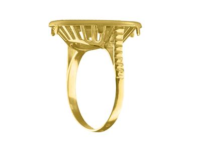 Anillo Portamonedas 10 Francos, Canasta Calada, Oro Amarillo 18 Kt