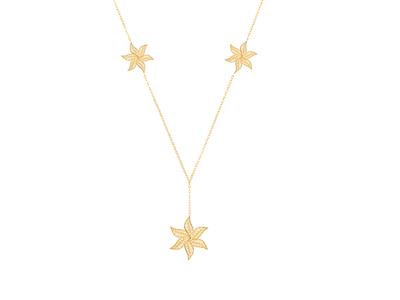 Kit Chaine Neptune Ylang Ylang Collier N1 Or J3n - Imagen Estandar - 1