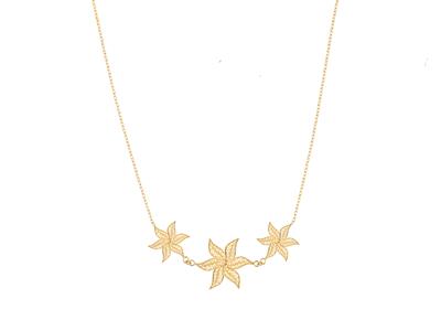 Kit Chaine Neptune Ylang Ylang Collier N2 Or J3n - Imagen Estandar - 2