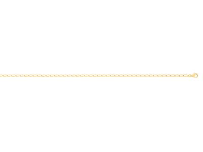 Collar Grueso De Cadena De Eslabones Caballo 2,70mm, 55cm, Oro Amarillo De 18 K