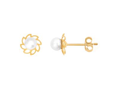 Pendientes Flores 7 MM Y Perla 3,6 Mm, Oro Amarillo 18k