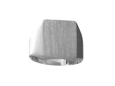 Anillo Signet De Dedo Macizo, Placade 16 X 13,5 Mm, Oro Blanco De 18 K Pd12. Referencia. 42316, Dedo 65