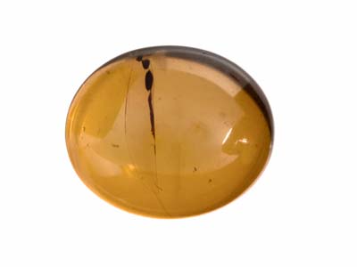 Cabujn Oval De Ámbar Natural 12 Mmx 10 MM