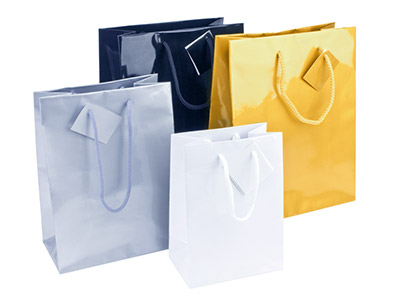 Paquete De 5 Bolsas Pequeñas Brillantes Blancas Para Regalo 170 X 120 X 75 MM - Imagen Estandar - 2
