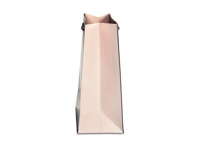Black And Pink Gift Bag Medium Pk 10 - Imagen Estandar - 2