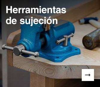 Sujecion