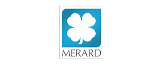 Merard solutions de polissage pour bijoux